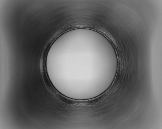 X0000099510482200805151014