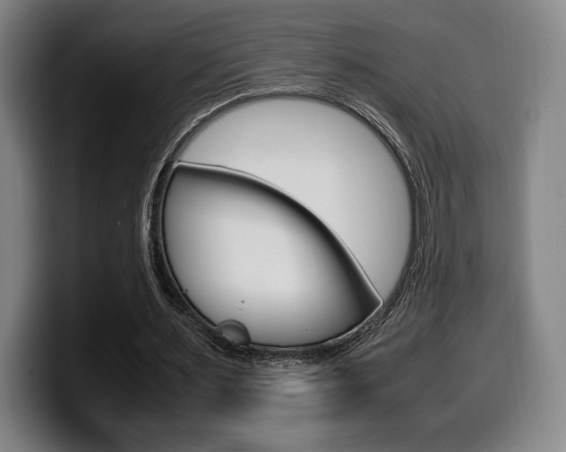X0000099510483200805151014