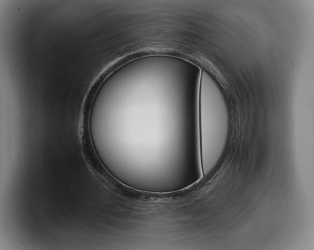 X0000099510484200805151014