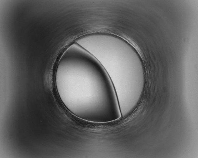 X0000099510485200805151014