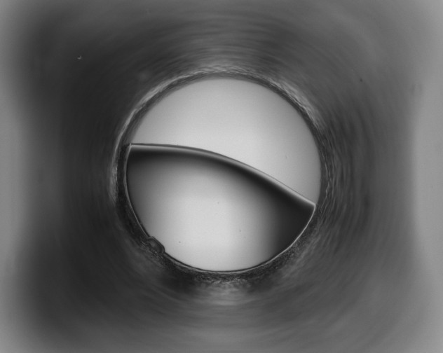 X0000099510488200805151014