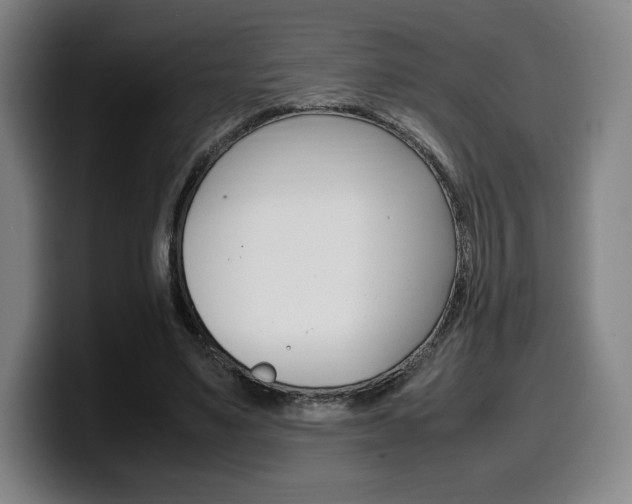 X0000099510491200805151014