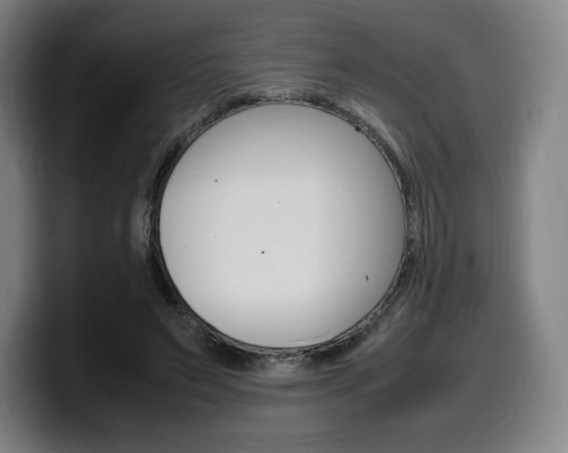 X0000099510495200805151014