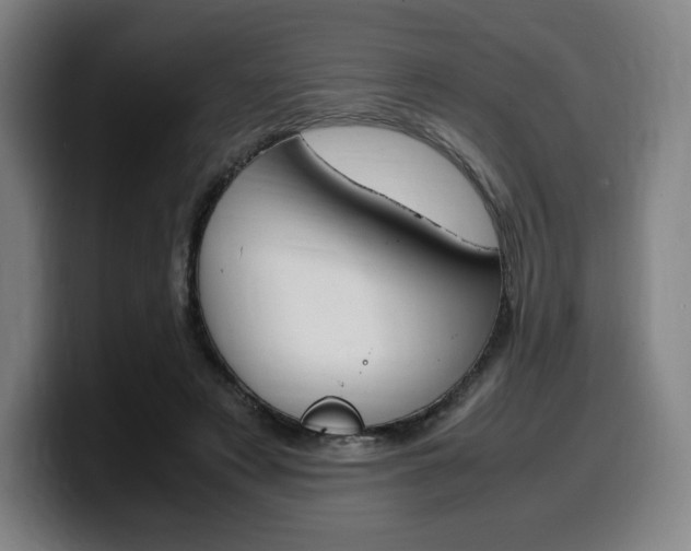 X0000099510497200805151014