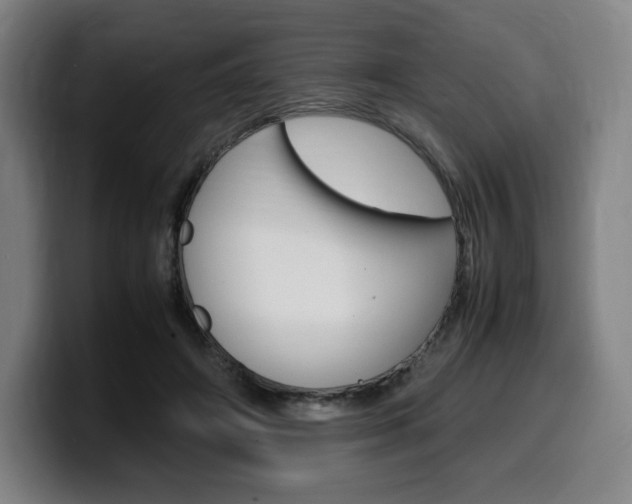 X0000099510498200805151014