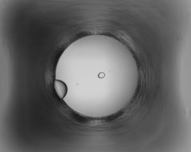 X0000099510499200805151014