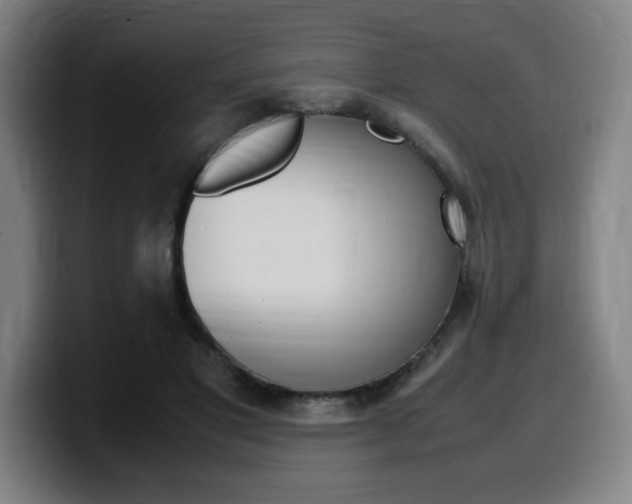 X0000099510501200805151014