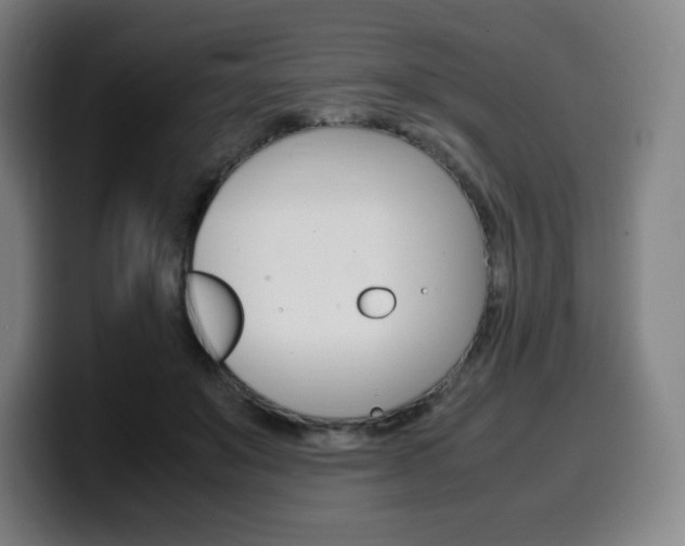 X0000099510503200805151014