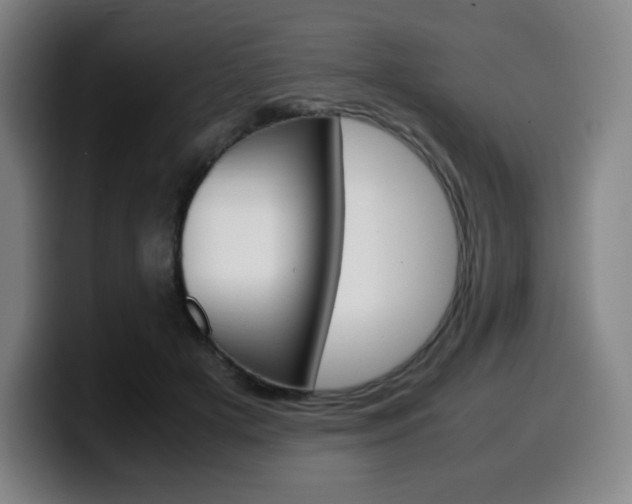 X0000099510505200805151014