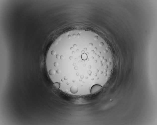 X0000099510507200805151014