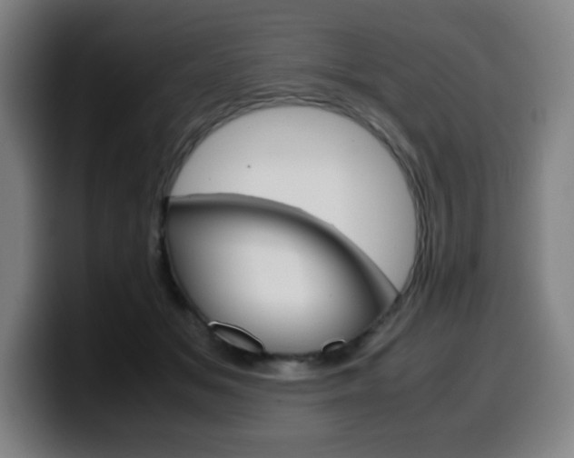 X0000099510509200805151014