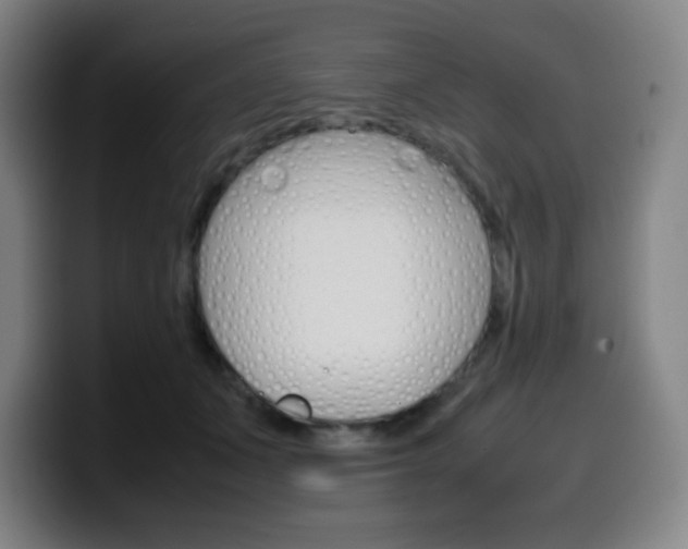 X0000099510511200805151014