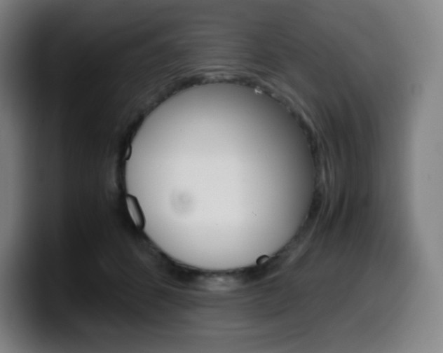 X0000099510512200805151014
