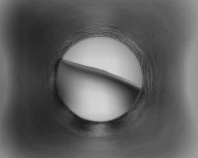 X0000099510513200805151014