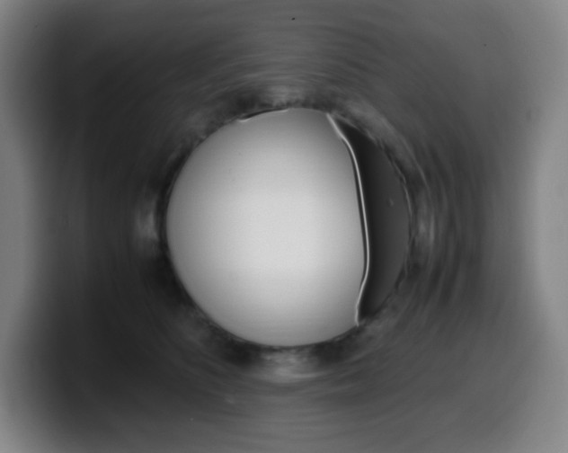 X0000099510516200805151014