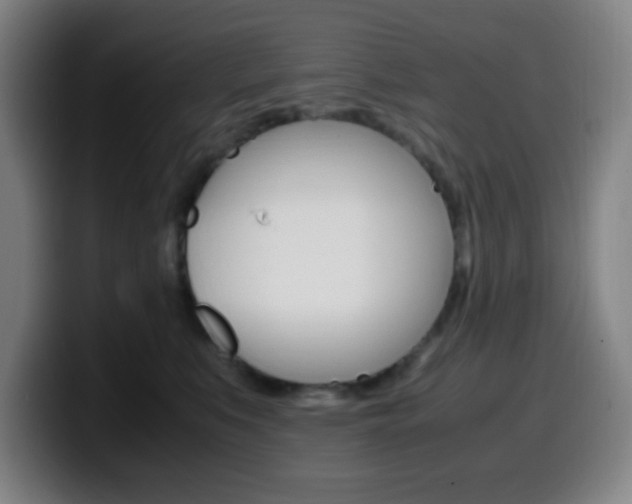 X0000099510519200805151013