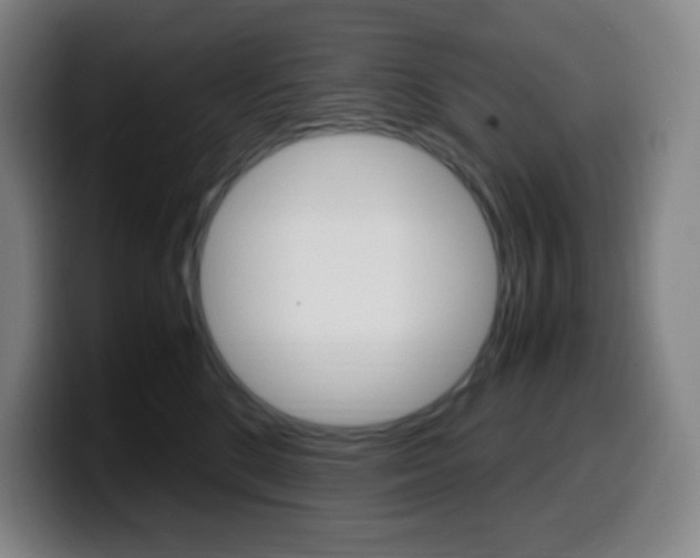 X0000099510520200805151013
