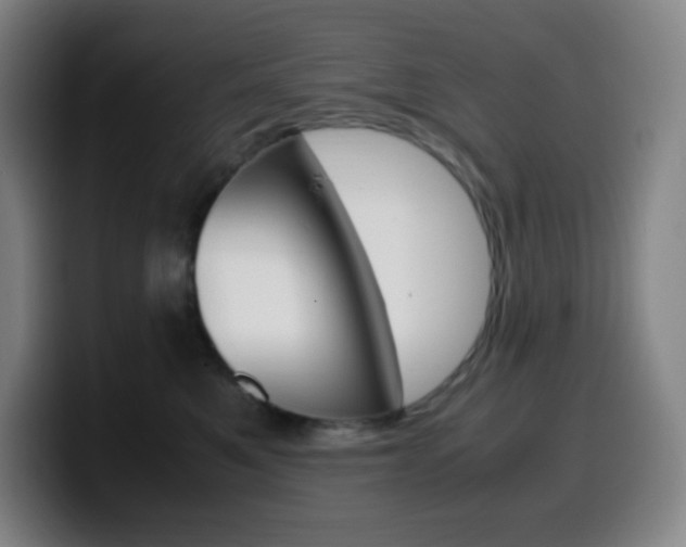 X0000099510521200805151013