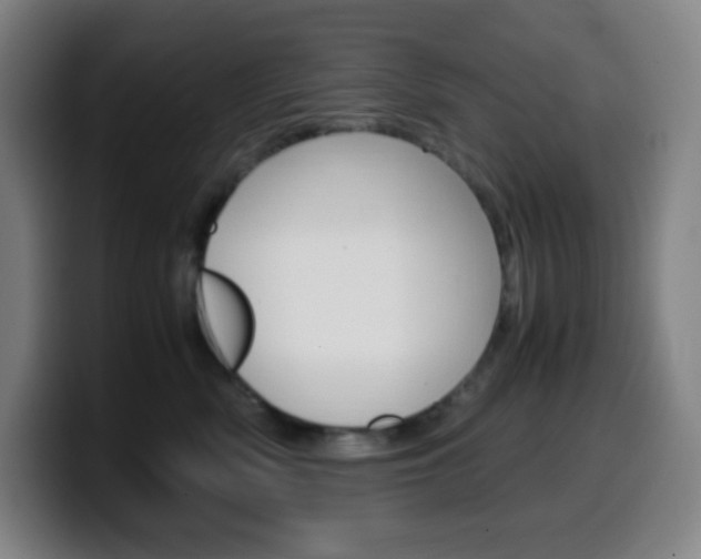 X0000099510522200805151013