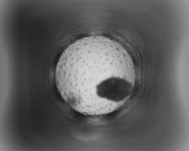 X0000099510523200805151013