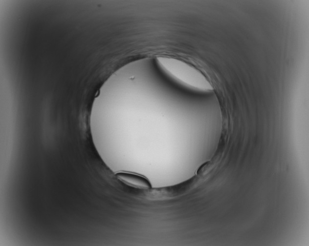 X0000099510525200805151013