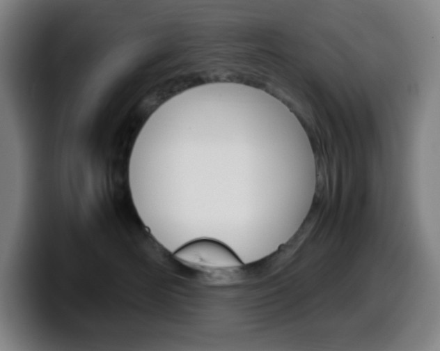 X0000099510526200805151013