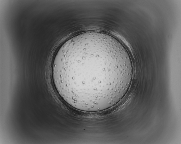 X0000099510529200805151013