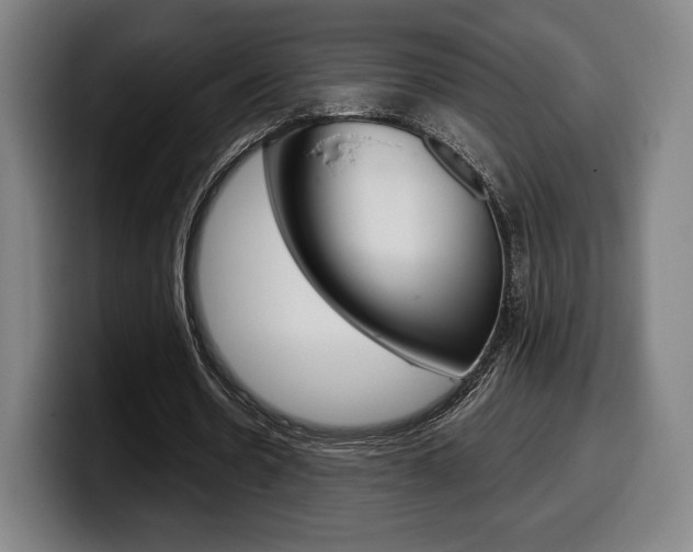 X0000099510530200805151013
