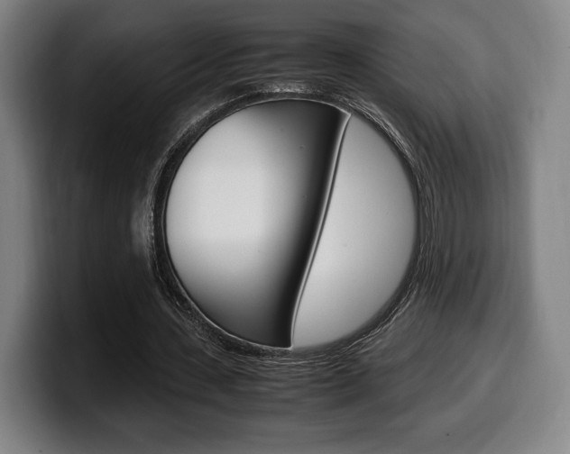 X0000099510531200805151013
