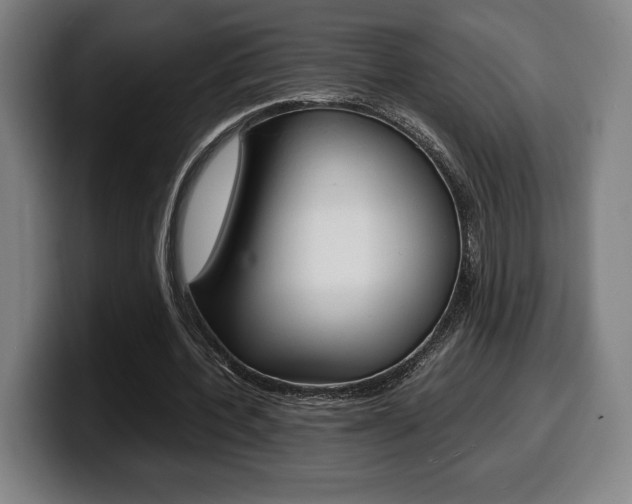 X0000099510532200805151013