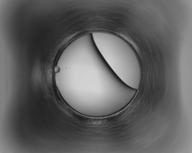 X0000099510533200805151013