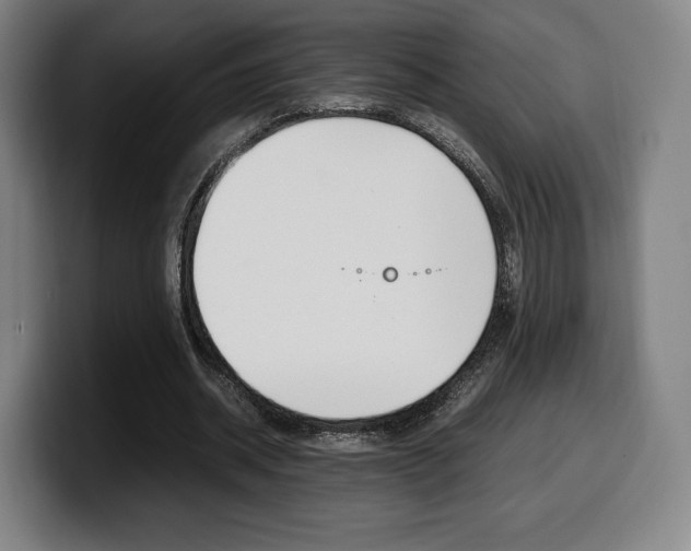X0000099510534200805151013