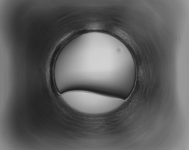 X0000099510535200805151013
