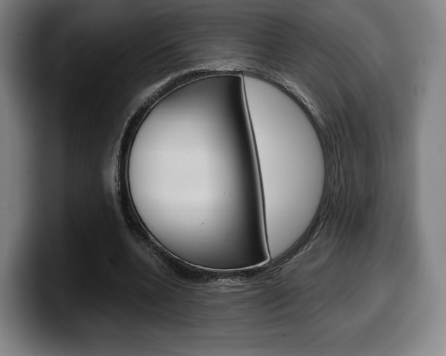 X0000099510536200805151013