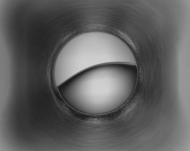 X0000099510538200805151013