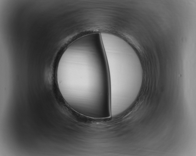 X0000099510540200805151013