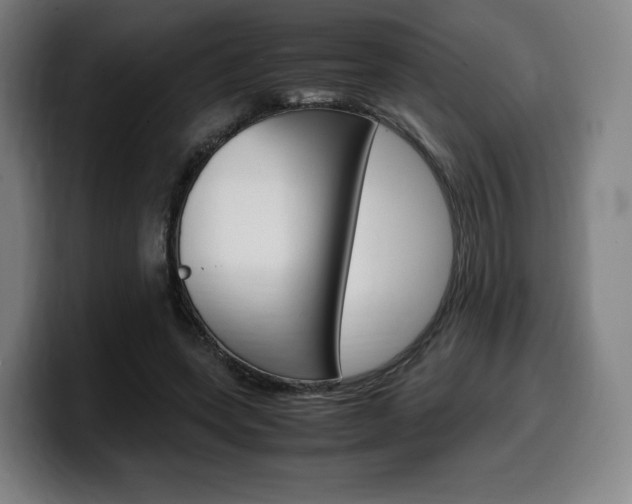 X0000099510543200805151013