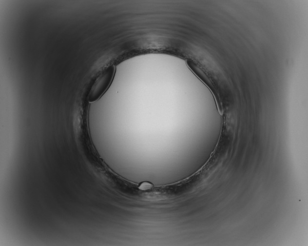 X0000099510544200805151013
