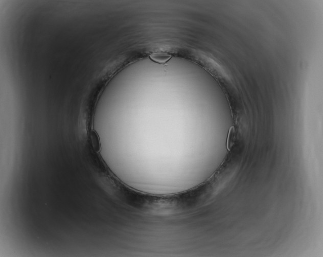 X0000099510546200805151013