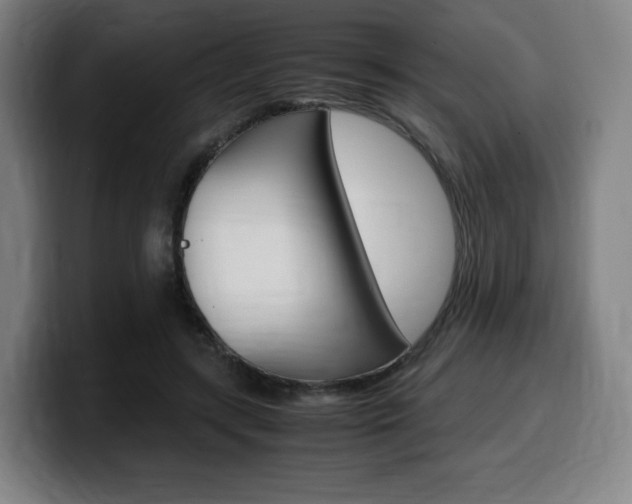 X0000099510547200805151013
