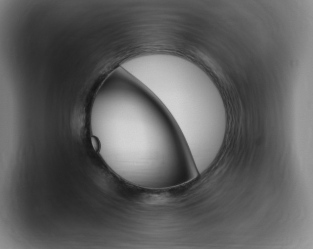 X0000099510548200805151013