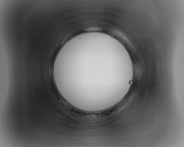 X0000099510549200805151013