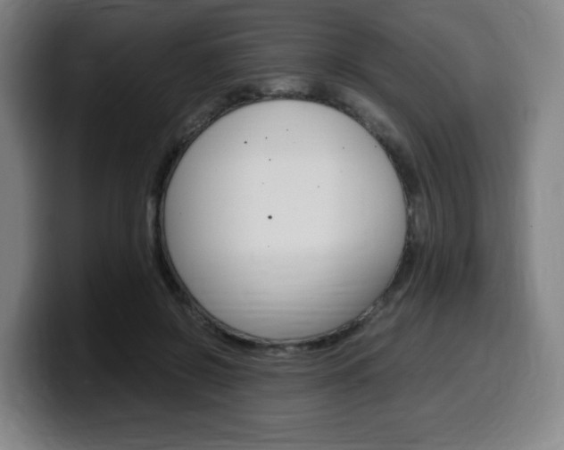 X0000099510550200805151013