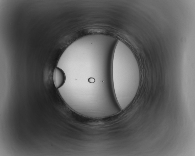 X0000099510551200805151013