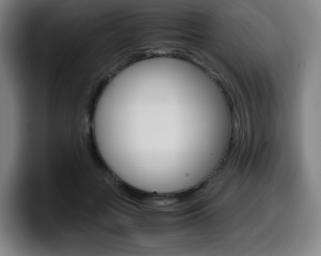 X0000099510555200805151013