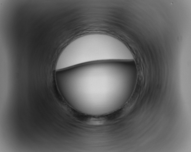 X0000099510556200805151013