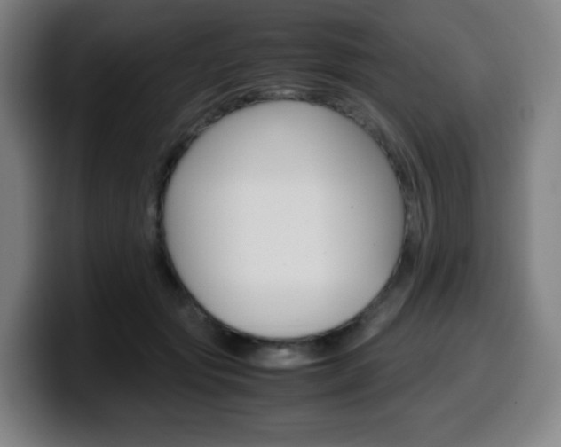 X0000099510557200805151013