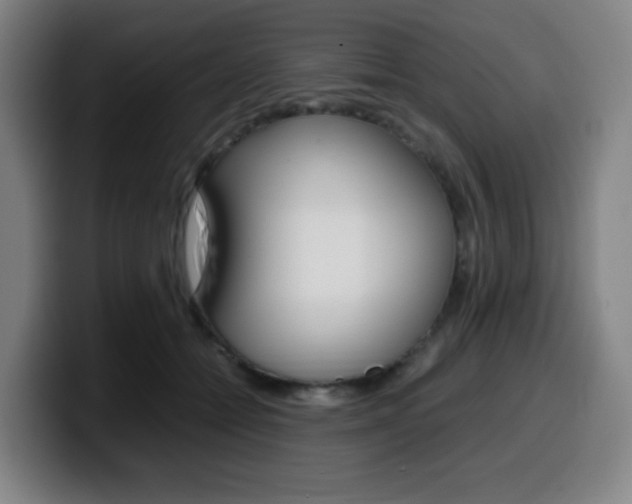 X0000099510558200805151013