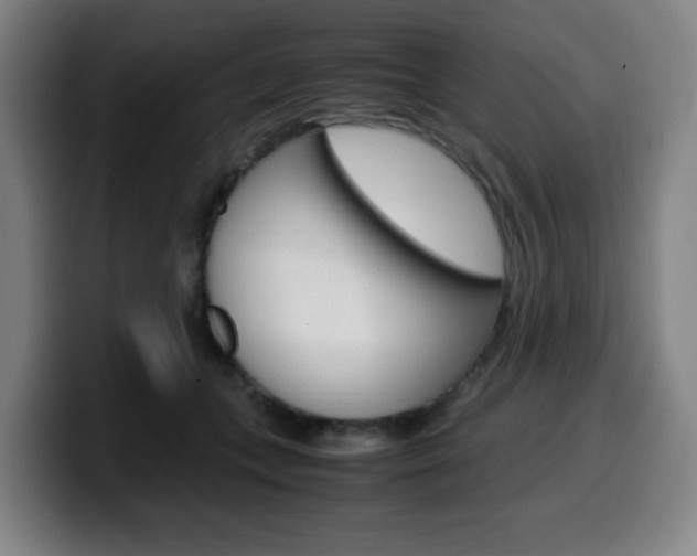 X0000099510559200805151013