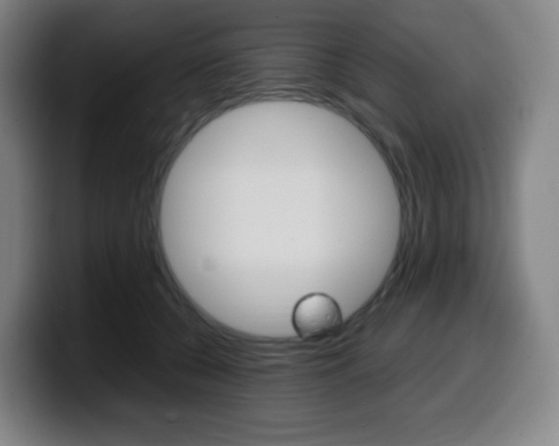 X0000099510560200805151013